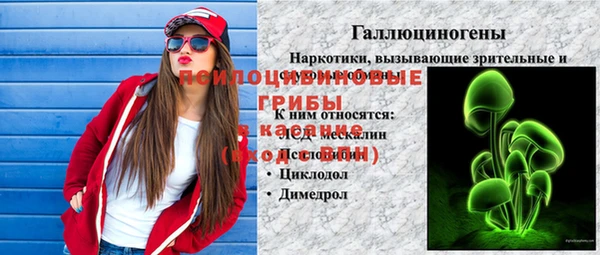 гидропоника Пестово