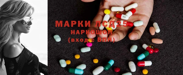 сатива Осташков