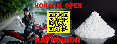 стафф Гусев