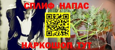 стафф Гусев