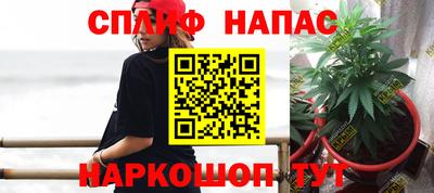 стафф Гусев