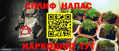 стафф Берёзовский