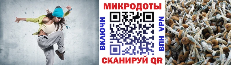 Псилоцибиновые грибы мухоморы Костомукша