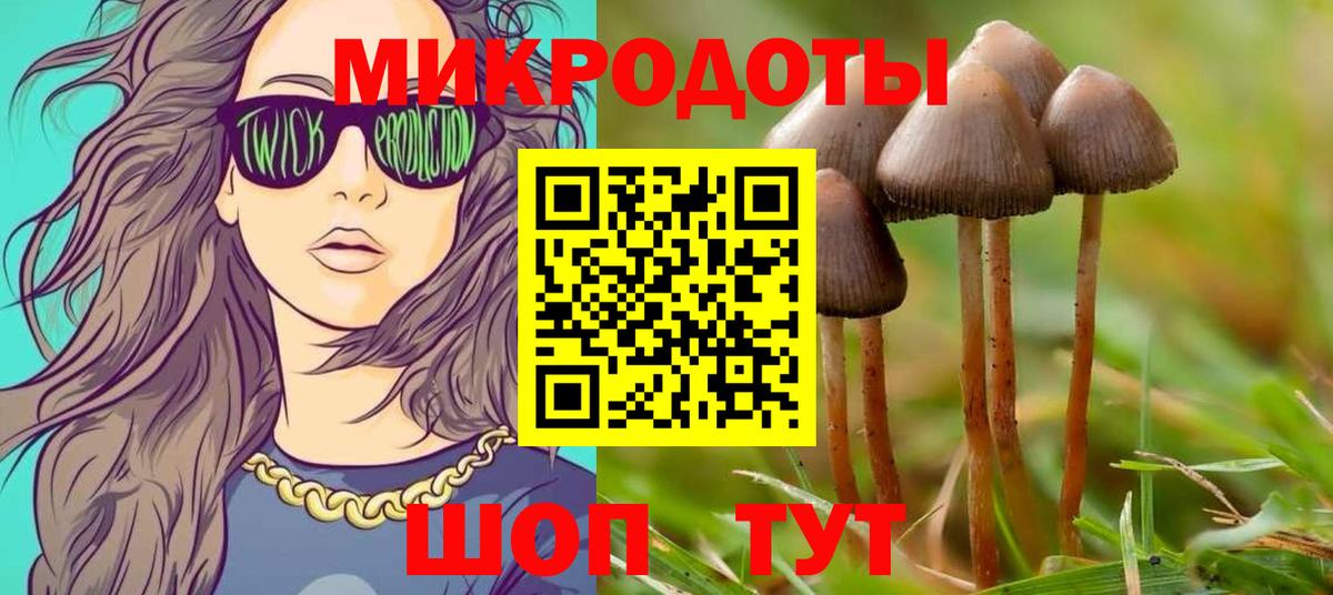 Галлюциногенные грибы мухоморы Костомукша